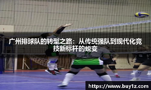 3377体育官网